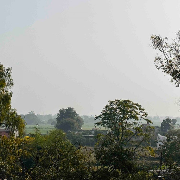 24 घंटे में 1 डिग्री गिरा मंदसौर का पारा:25 जनवरी से बदलेगा हवा का रुख, तापमान में आएगी 3 डिग्री तक गिरावट