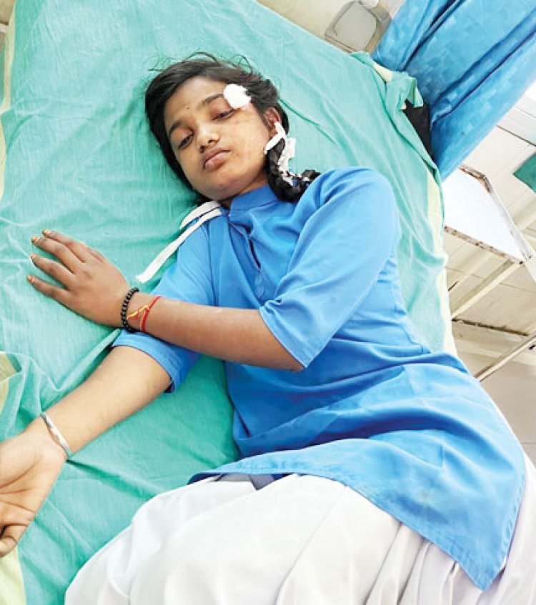 मधुमक्खी के काटने से कारोबारी की मौत, 3 घायल