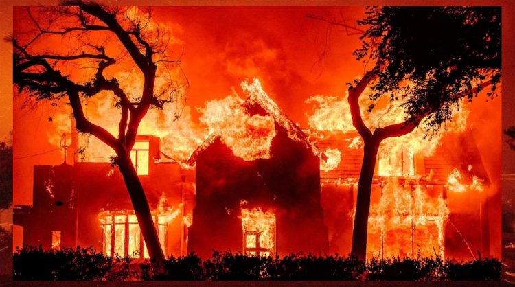 लॉस एंजिल्स के जंगल की आग से 164 अरब डॉलर की संपत्ति और पूंजी का नुकसान: रिपोर्ट