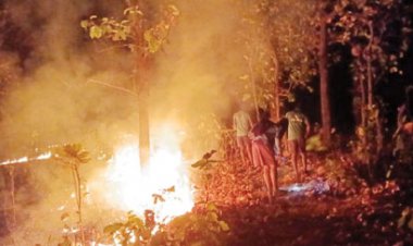 उदयपुर वन परिक्षेत्र में भीषण आग, खतरे में ऐतिहासिक रामगढ़ पहाड़ी