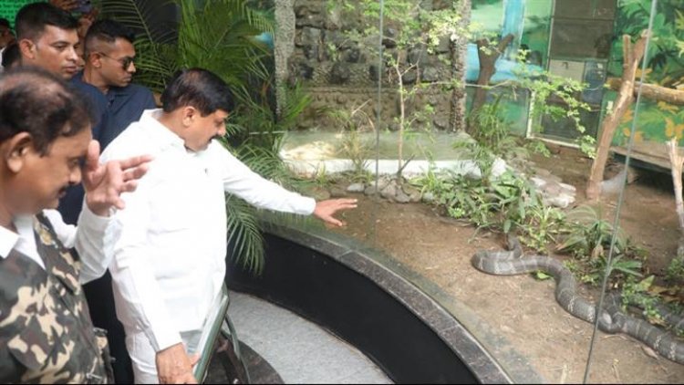 मुख्यमंत्री डॉ. यादव ने इंदौर के कमला नेहरू प्राणी संग्रहालय को दी किंग कोबरा (मेल) की सौगात