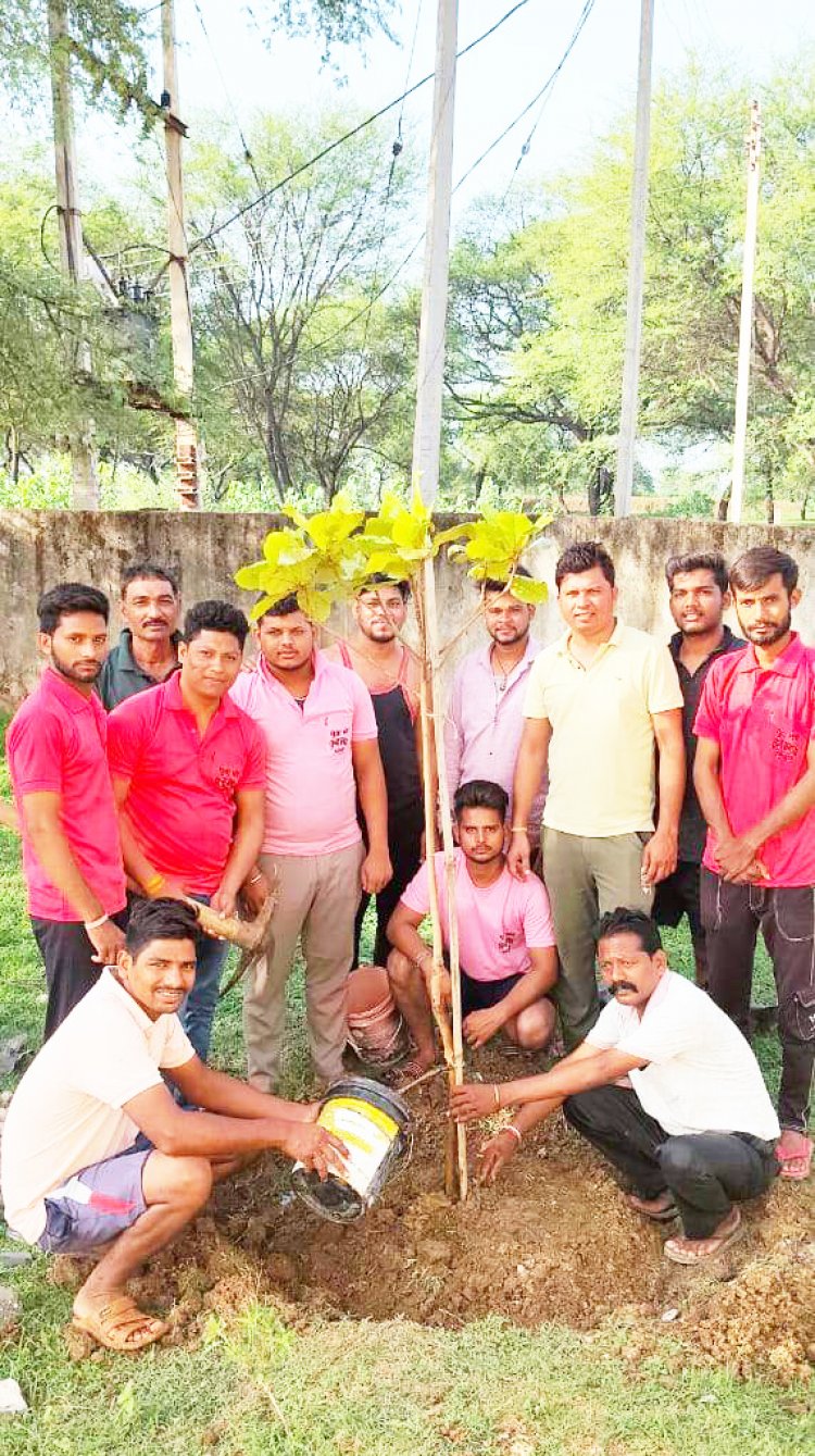 युवक दे रहे हरियाली का संदेश