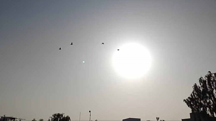 मई में बारिश के बाद बारिश वाले जून में गर्मी का असर तेज हो रहा, गर्मी उमस से बेहाल हुआ इंदौर