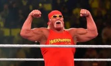 प्रोफ़ेशनल रैसलर हल्क होगन का 71 साल की उम्र में निधन