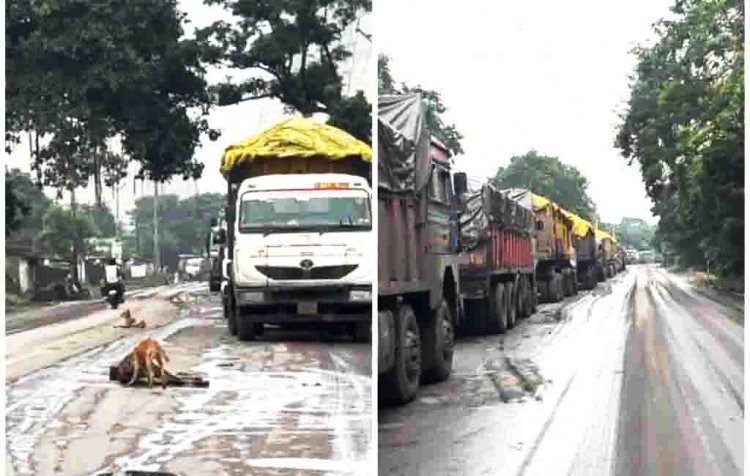 तमनार में वाहन की टक्कर  से गाय की मौत