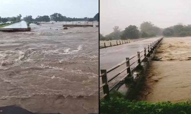 भिंड, मुरैना, दतिया में बाढ़ अलर्ट, ग्वालियर के स्कूल बंद, 22 जिलों में बारिश का अनुमान