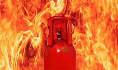 किचन सेफ्टी अलर्ट: कीटनाशक स्प्रे से भी भड़क सकती है आग, LPG सिलेंडर पर न डालें पानी