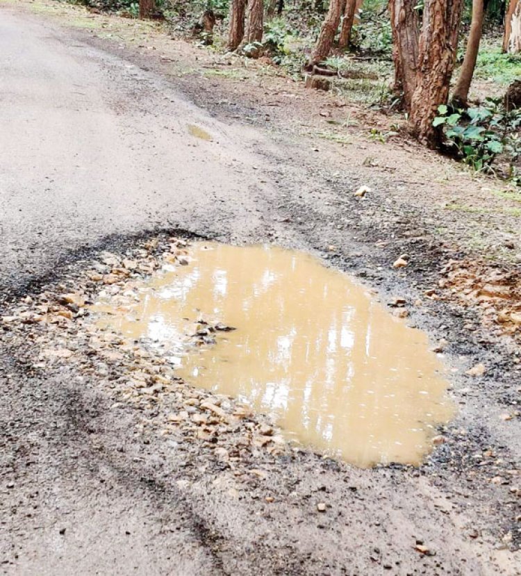 प्रधानमंत्री ग्राम सडक़ का हाल बदहाल, साल भर में जर्जर