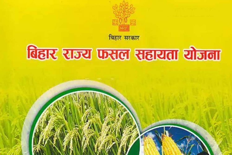 बिहार राज्य फसल सहायता योजना: 31 अक्टूबर तक करें आवेदन