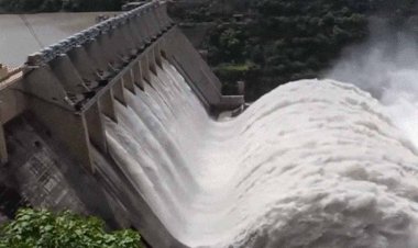 भाखड़ा-पौंग डैम से छोड़ा पानी, पंजाब में हड़कंप, हरियाणा-UP में अलर्ट