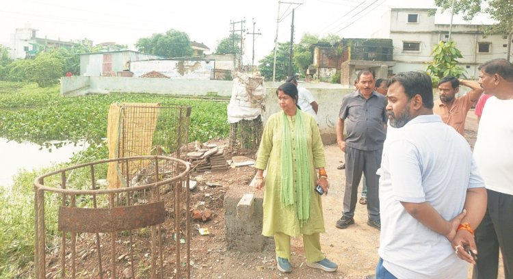 महापौर ने अवैध नाली निर्माण और जलभराव पर जताई नाराजगी