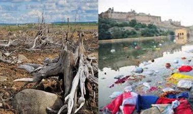 पर्यावरण अपराधों में राजस्थान शीर्ष 4 राज्यों में शामिल