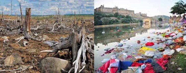 पर्यावरण अपराधों में राजस्थान शीर्ष 4 राज्यों में शामिल