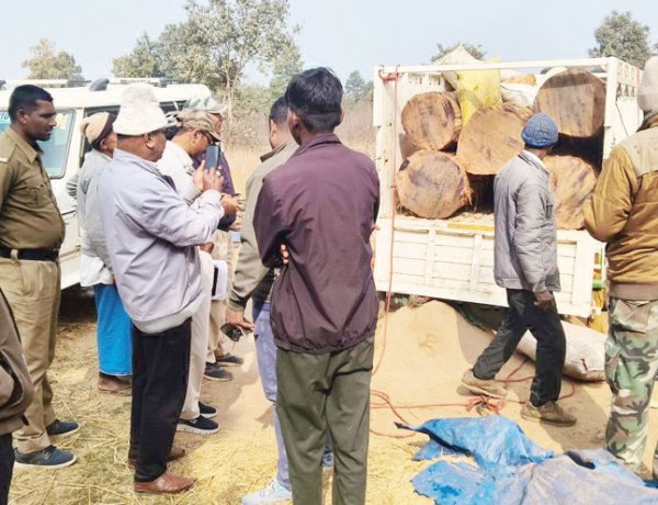 साल लकड़ी का अवैध परिवहन, जब्त