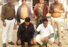 अंतरराज्यीय पशु तस्करी का भंडाफोड़, दो आरोपी गिरफ्तार